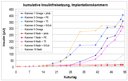 Insulinfreisetzung