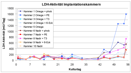 LDH-Aktivitaet